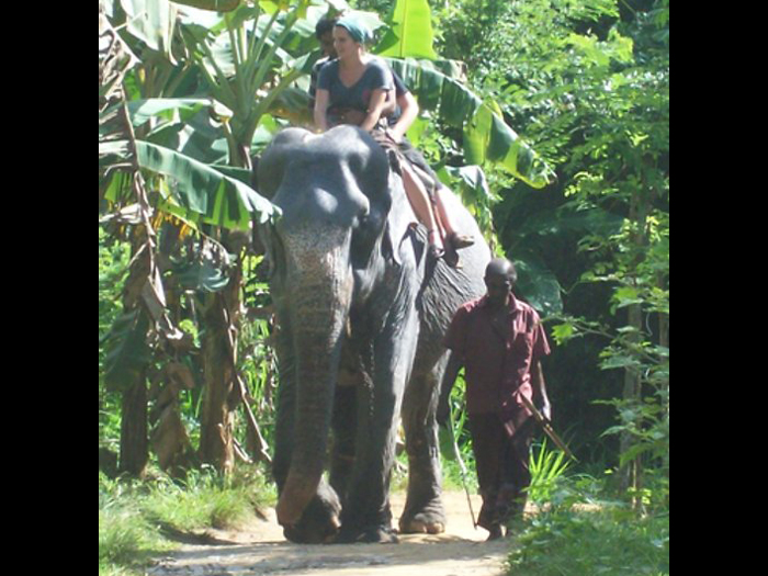 elephant-riding01.jpg